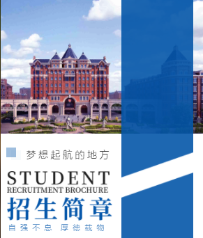 简约风招生简章大学职业技术学院招生目录宣传手册